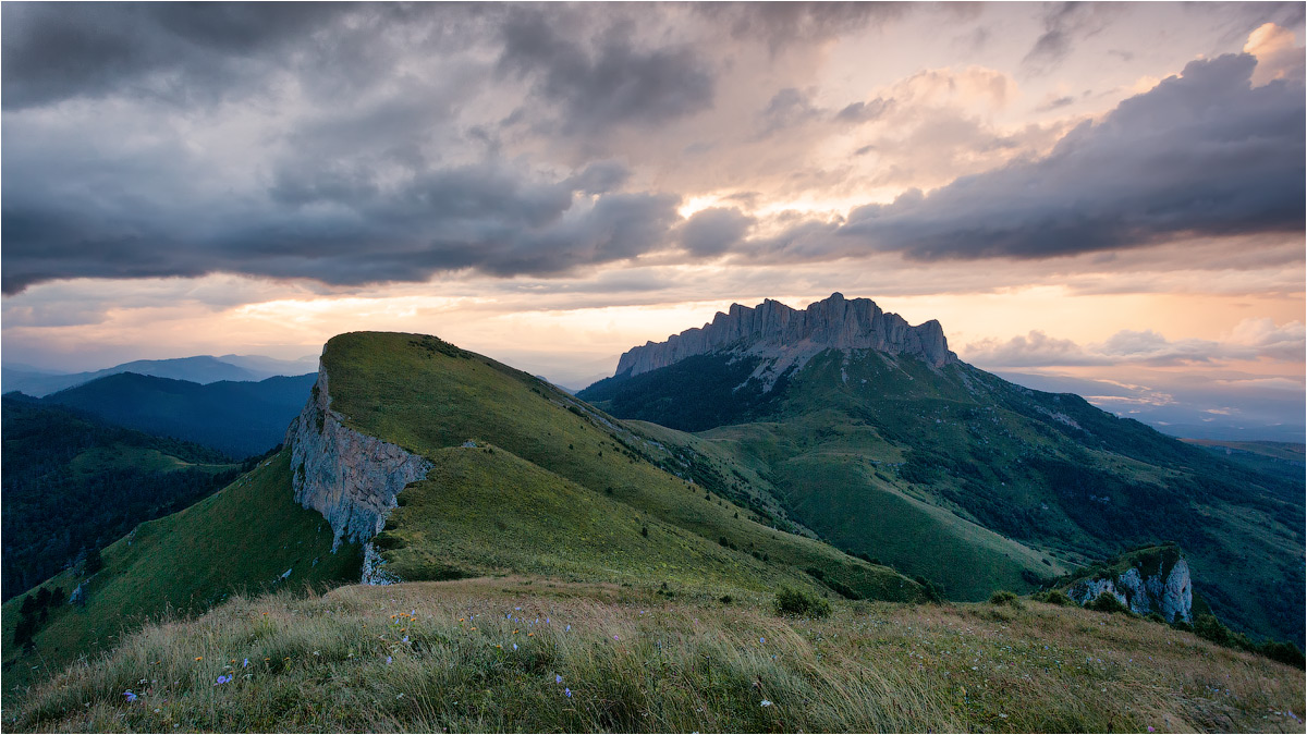 Kleine Vertex Thach. Republik Adygea.