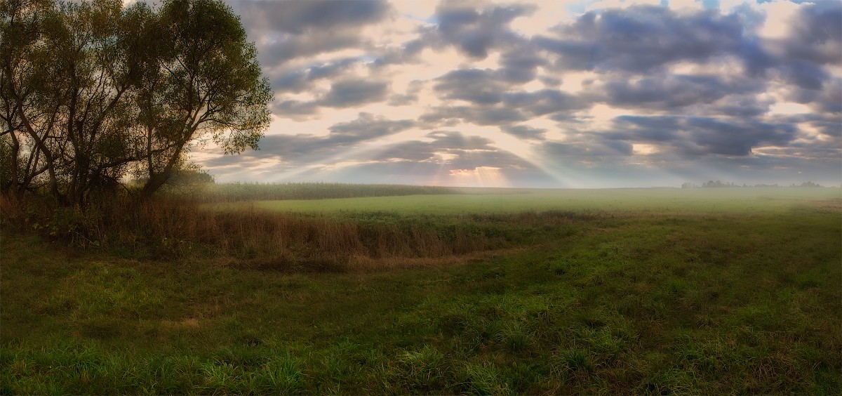 Abenddämmerung im September