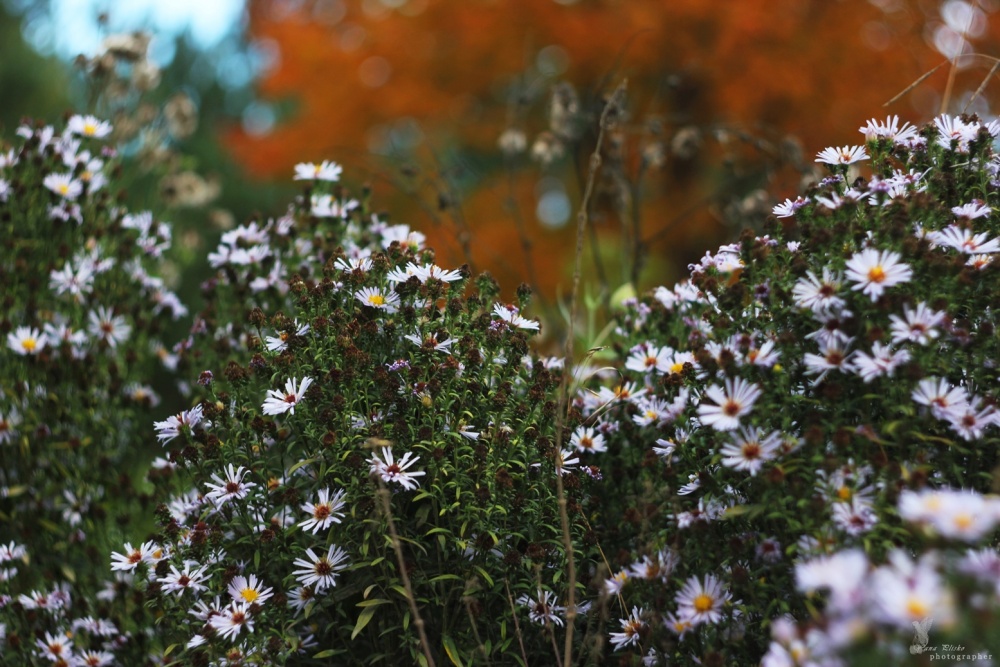 Natur perfekt mischt die Farbe)