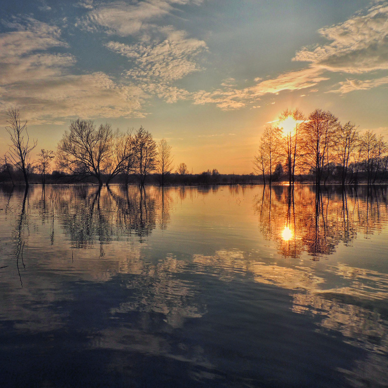 Sonnenuntergang bei Hochwasser