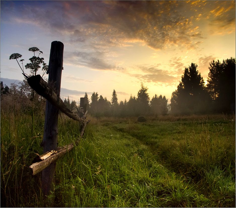 Dawn of Hoffnung ...