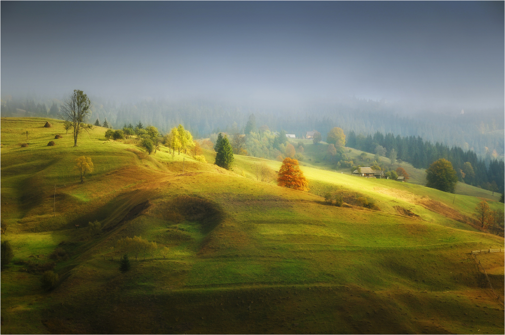 Gold auf einem grauen ...