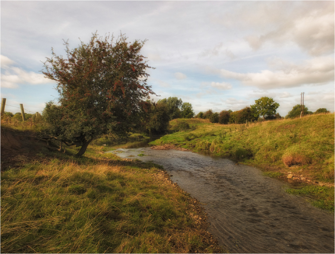Auf einer Kurve ......