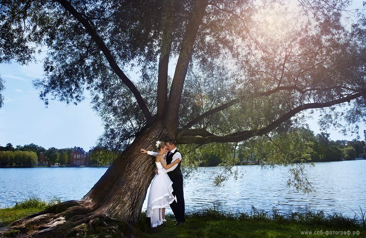 Fotograf Dmitry Osipov, Wedding, Wedding