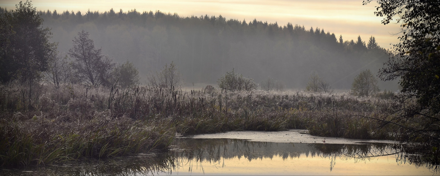 Morgen auf der verkürzten