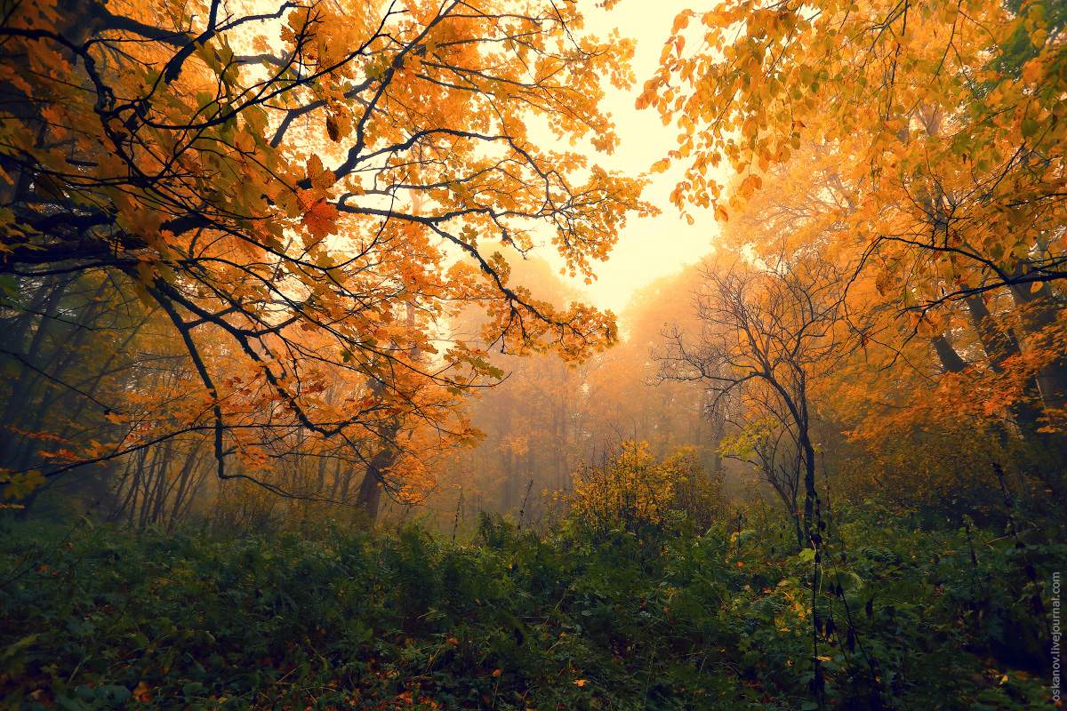 Legenden der Leidenschaft