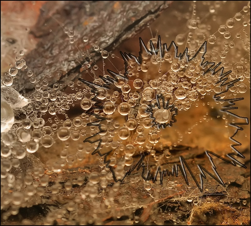 Welt ist nicht genug ...