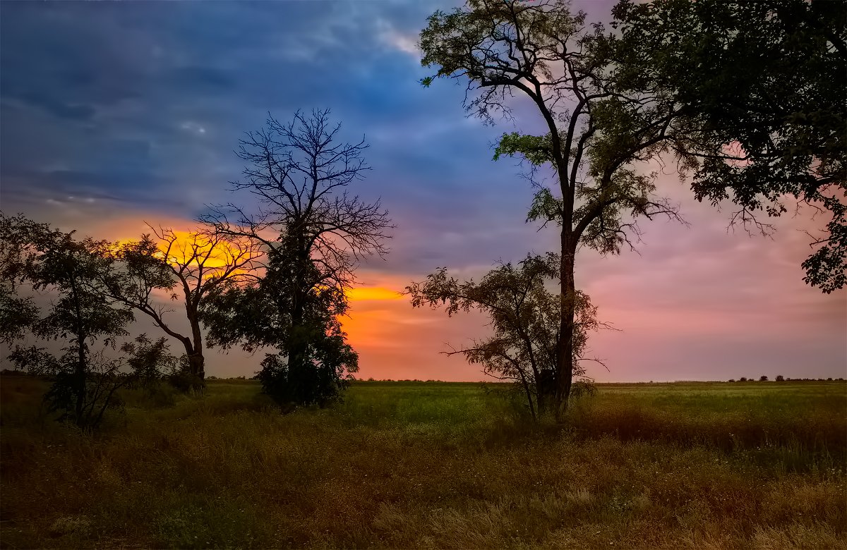 Ukrainischen Skizzen