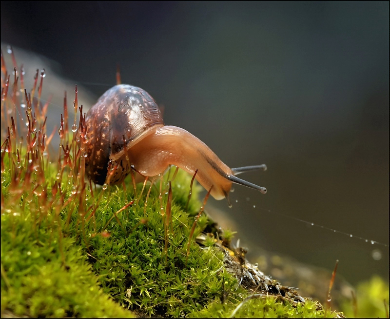 Auf der Rennstrecke ...