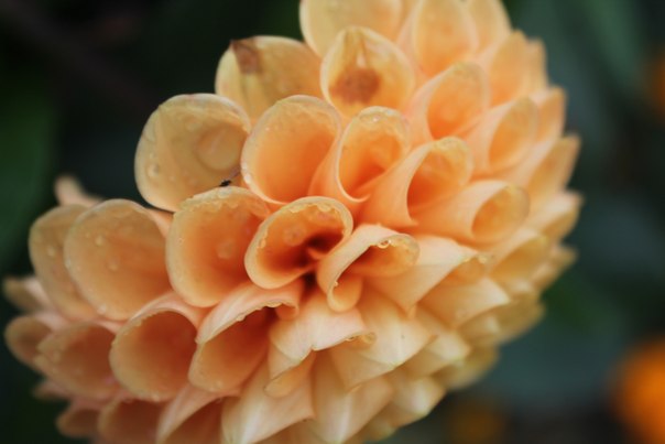 Gerade über .. war es nicht, was zu tun zu spielen ..