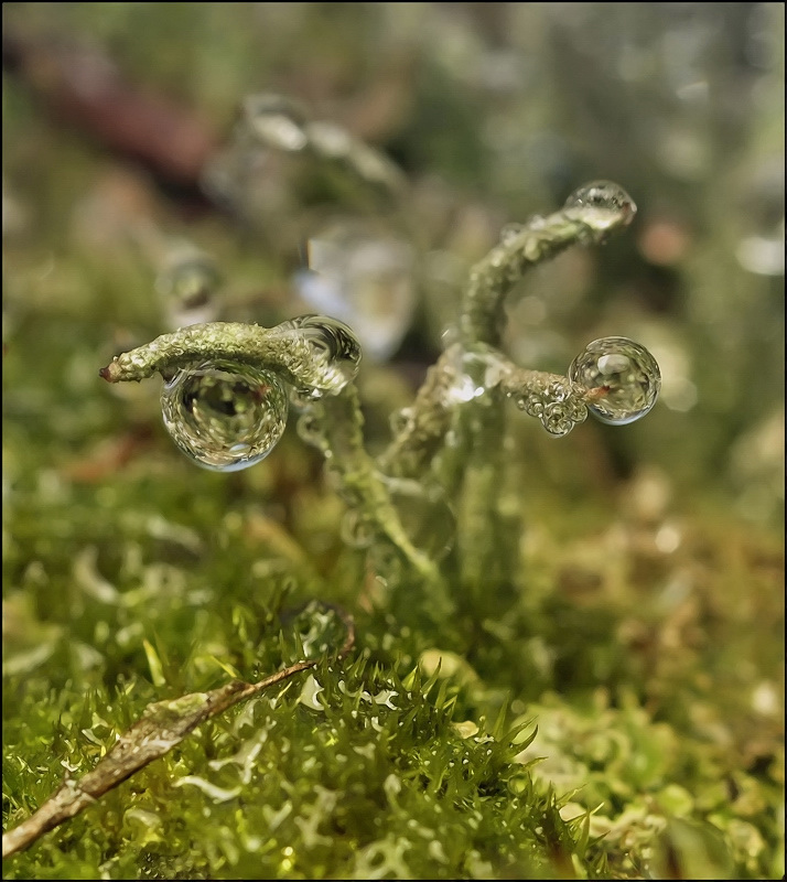 Drei Elemente der ...