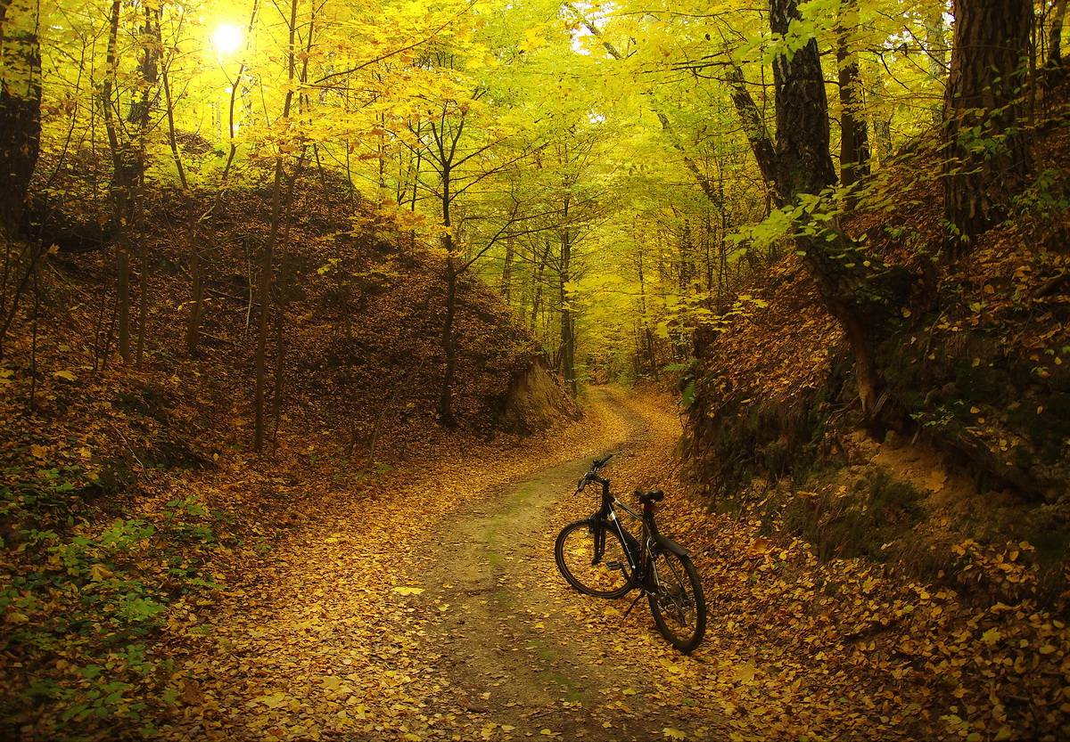 Herbst Trails
