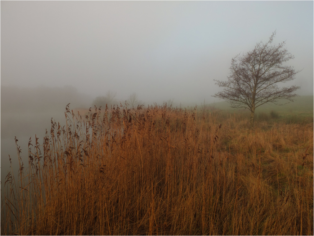 Kamyshova-Nebel ......