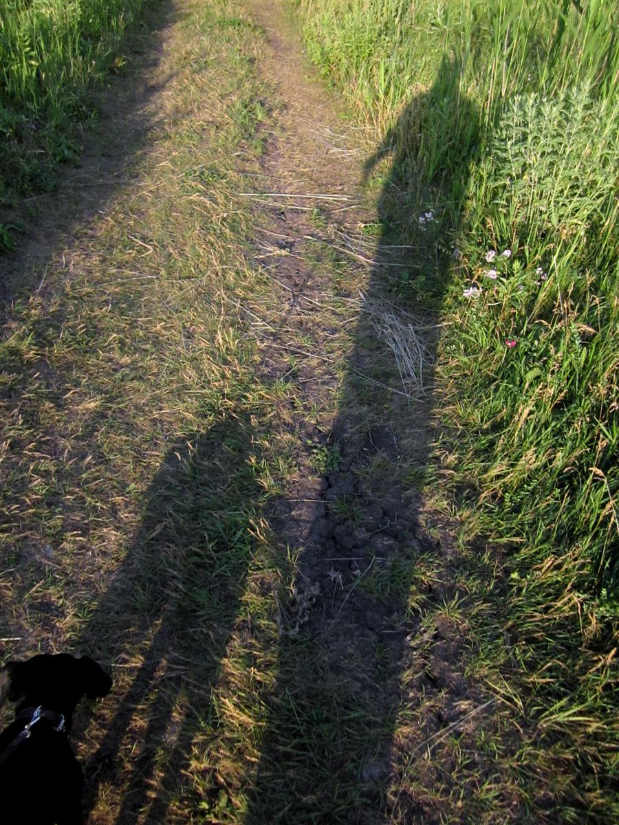 Lange schräge Schatten.