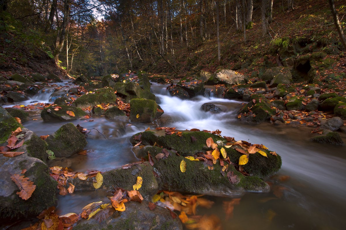Der Besuch des Herbst