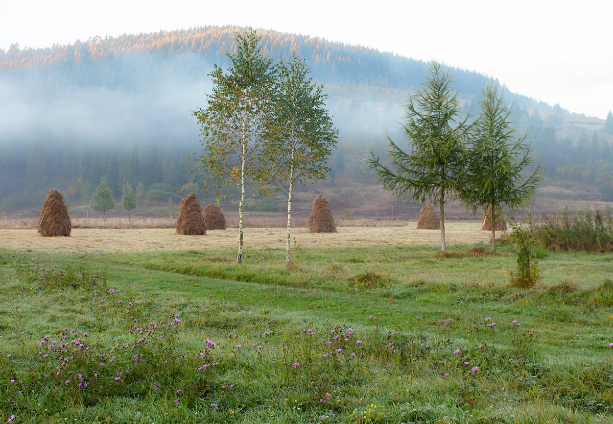 2 +2 ausgehende Nebel.