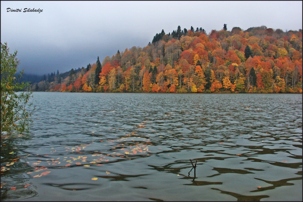 Vadaxranilishe Shaori