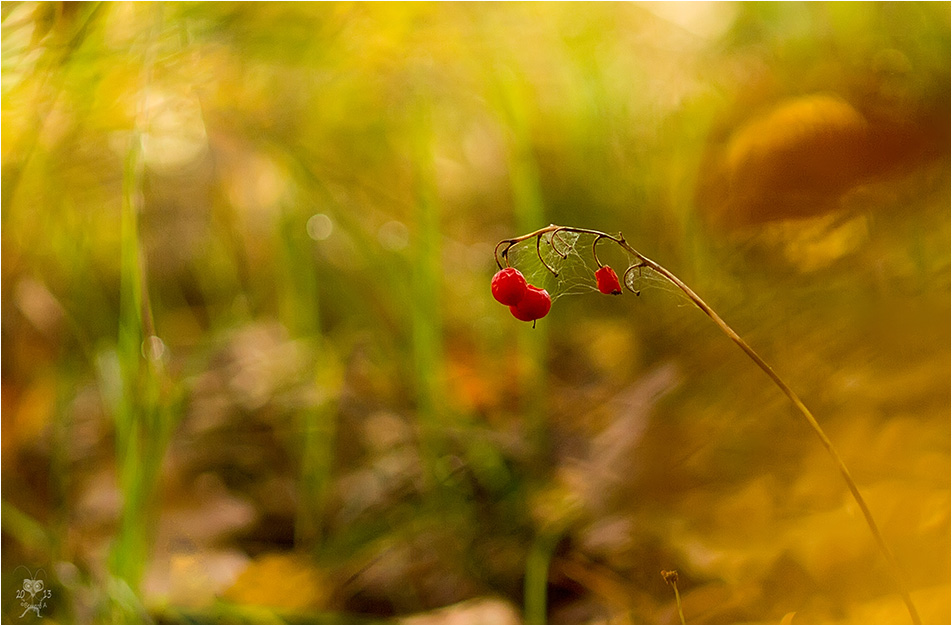 Atem des Herbstes ...