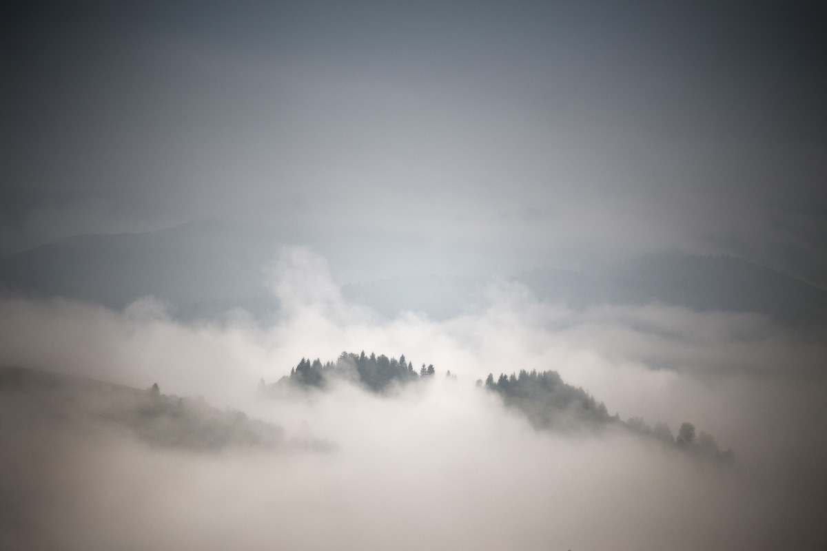 Über den Nebeln