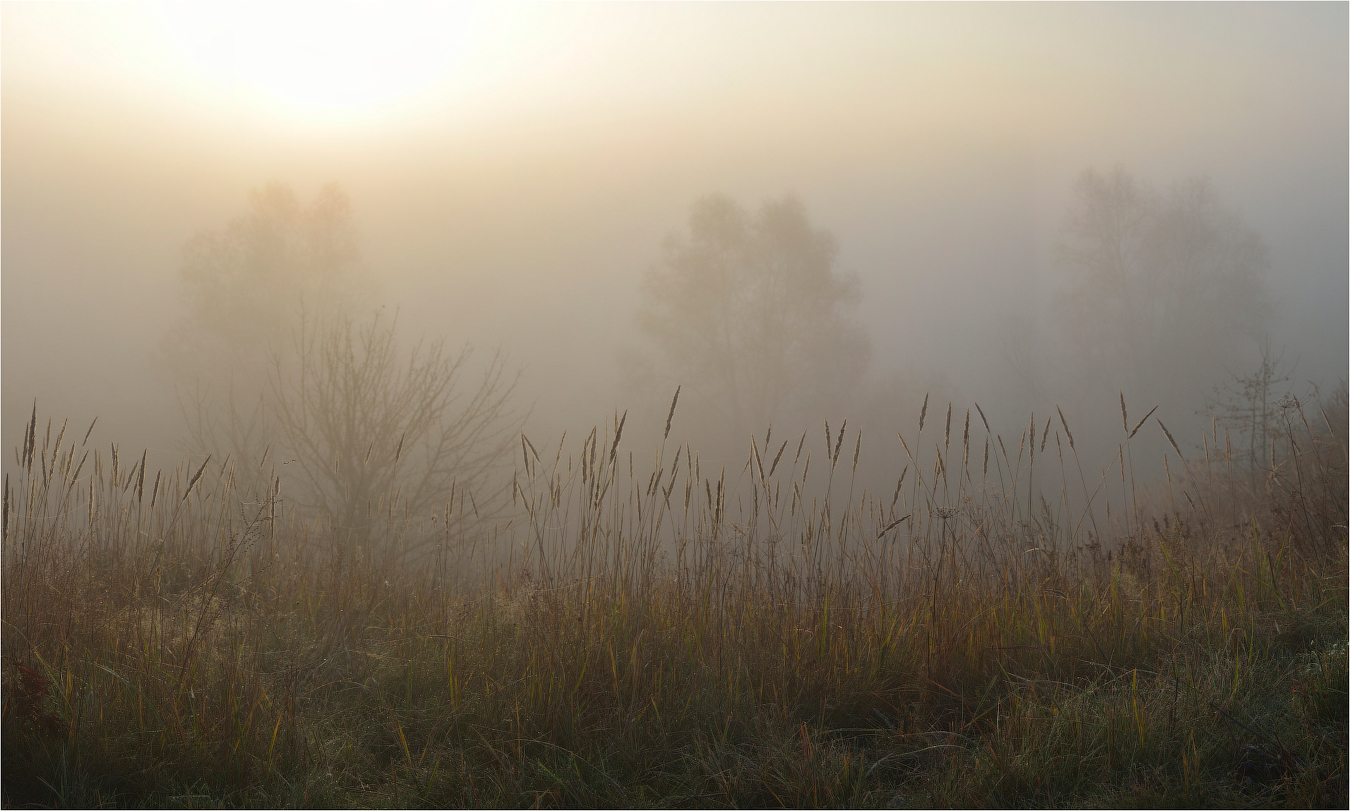 Unter einem Schleier von Nebel.