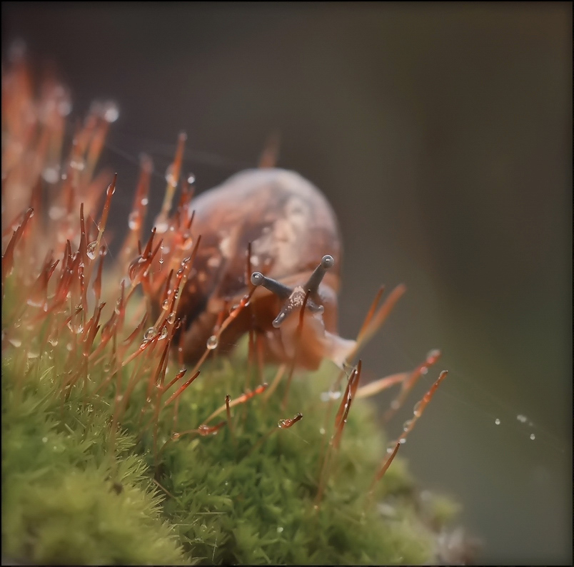 Leichter als Luft ...