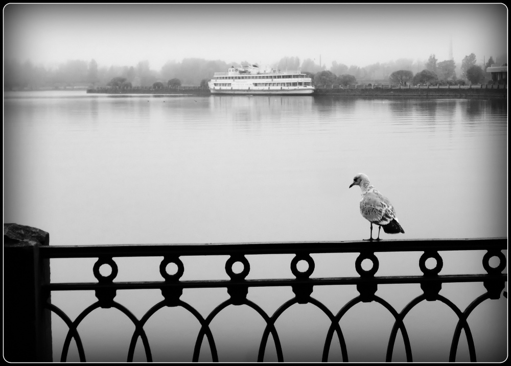 Vyborg (zu Fuß durch die Stadt)