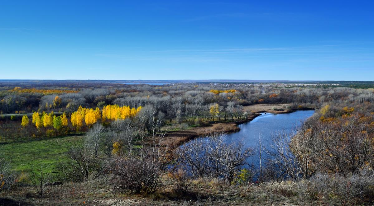 Wenn die Bäume ihr Laub abwerfen
