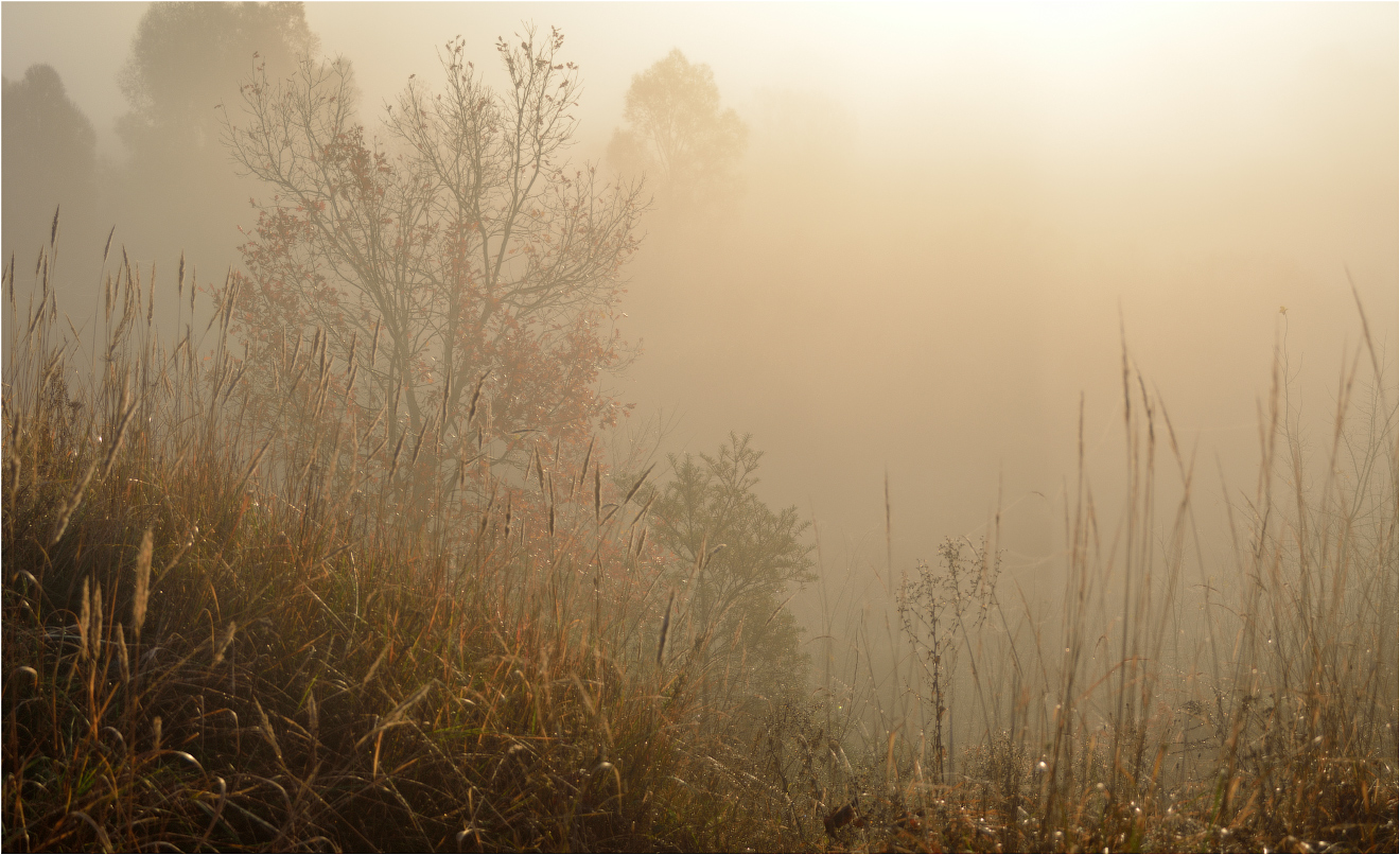 Grabtuch von Herbst.