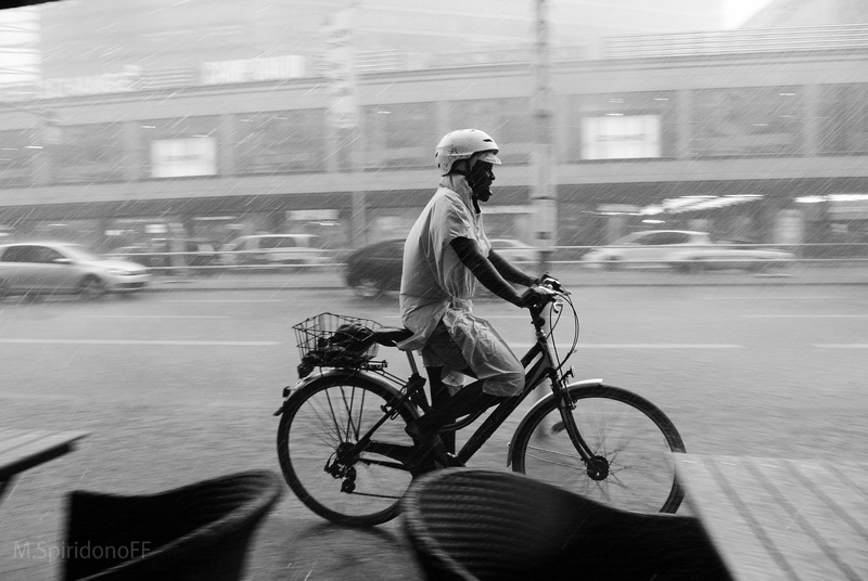 Crossing Europe 2013