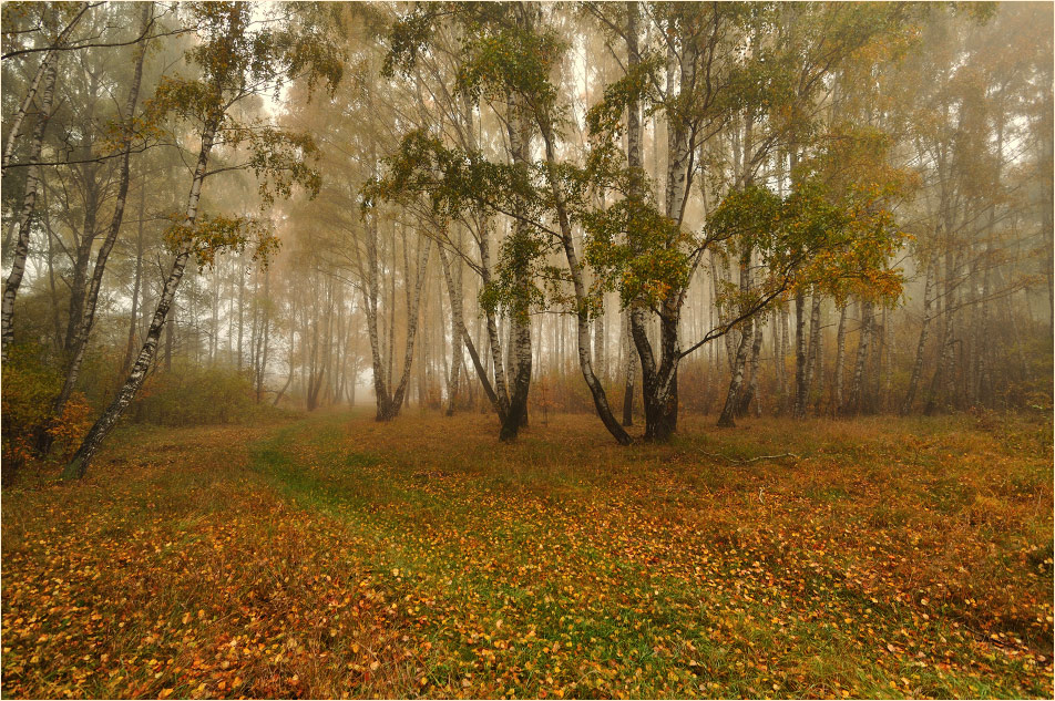 Es ist Zeit, Blattfall