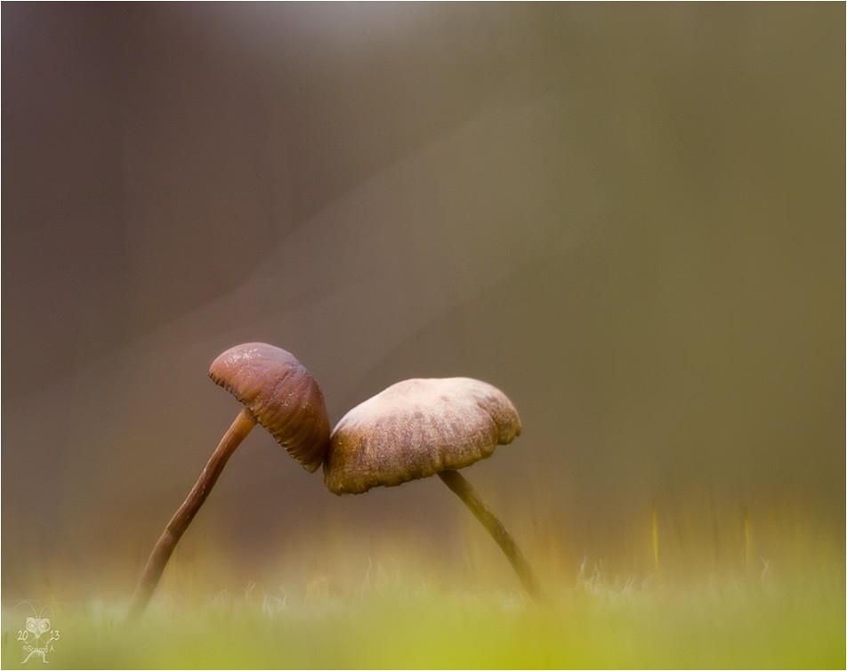 Respektieren Sie mich?