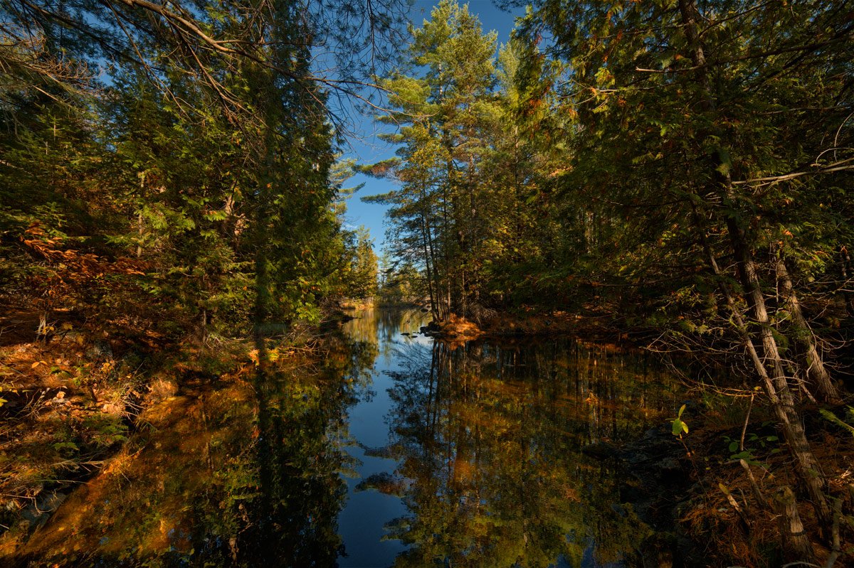 Transparent Autumn (Moriss ISL)