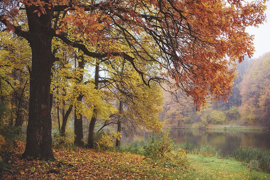 Warme Farben des Herbstes kalt