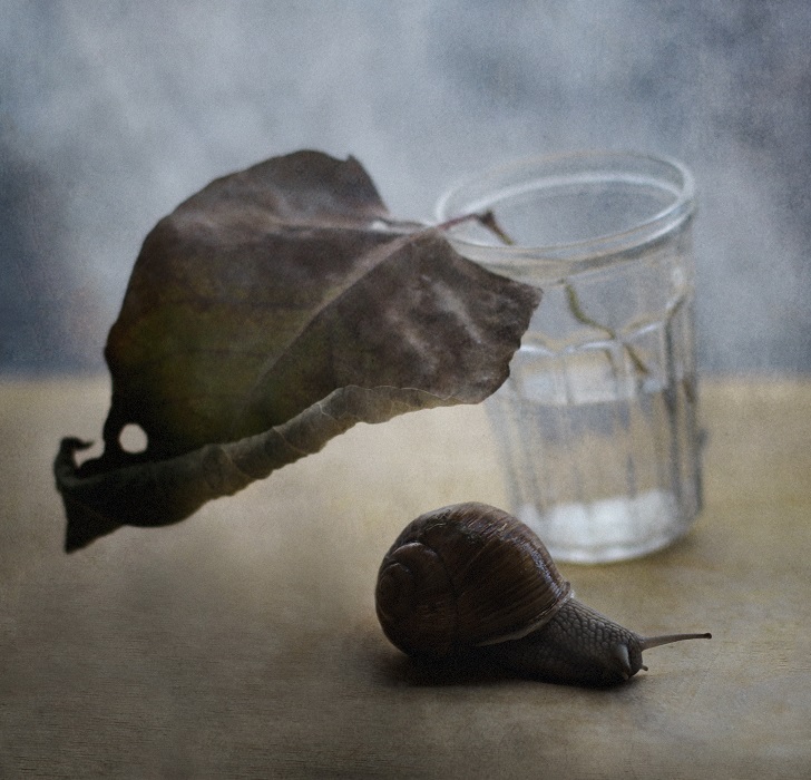 Wohlgemerkt, ich bin im Haus!