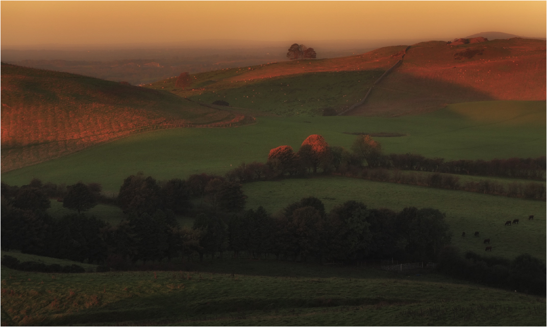 Am frühen Morgen ... über ...