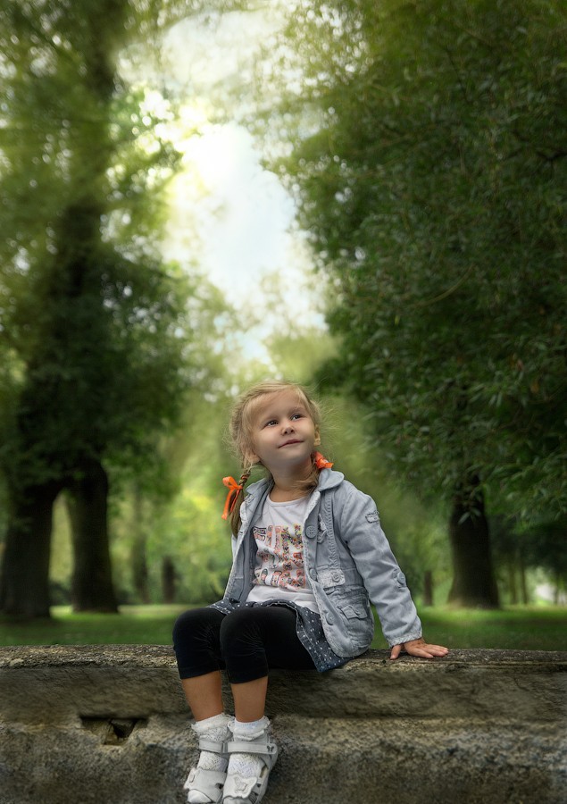 wenn die Bäume groß sind ..