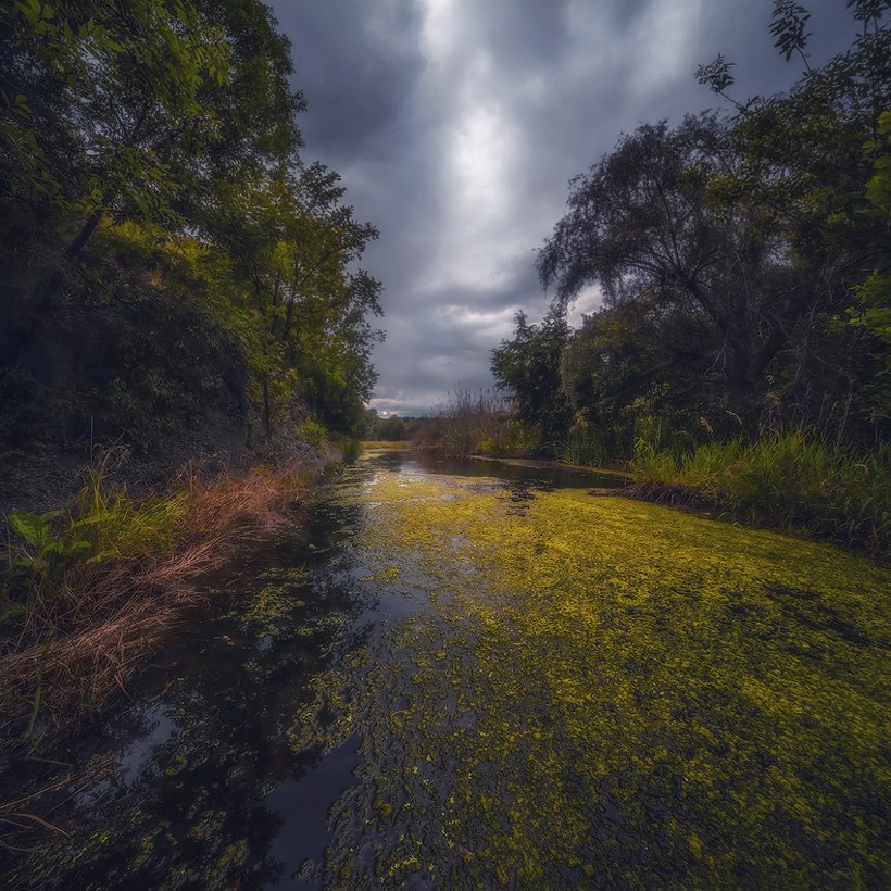 Wenn die Blüte des Flusses