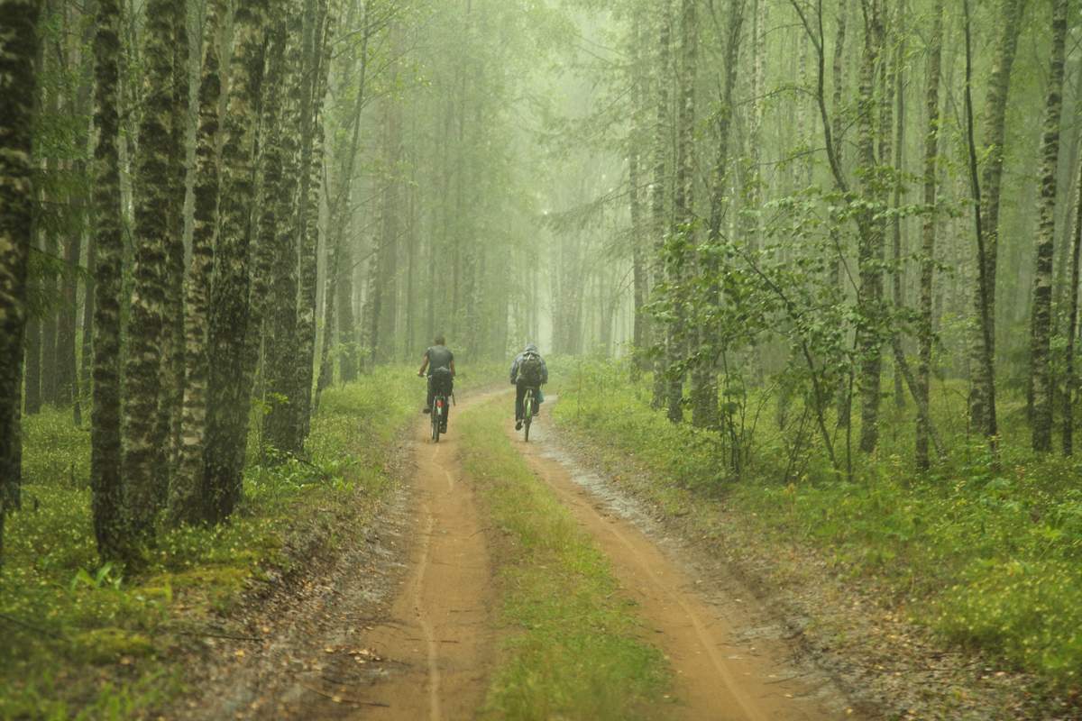 Verlassen des regen ...