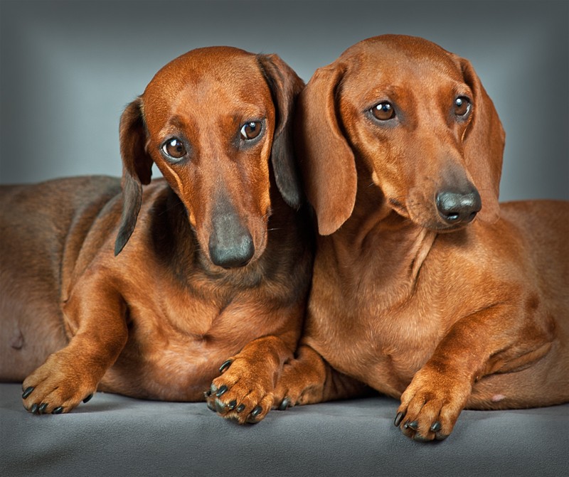 Verschütten Sie kein Wasser ...
