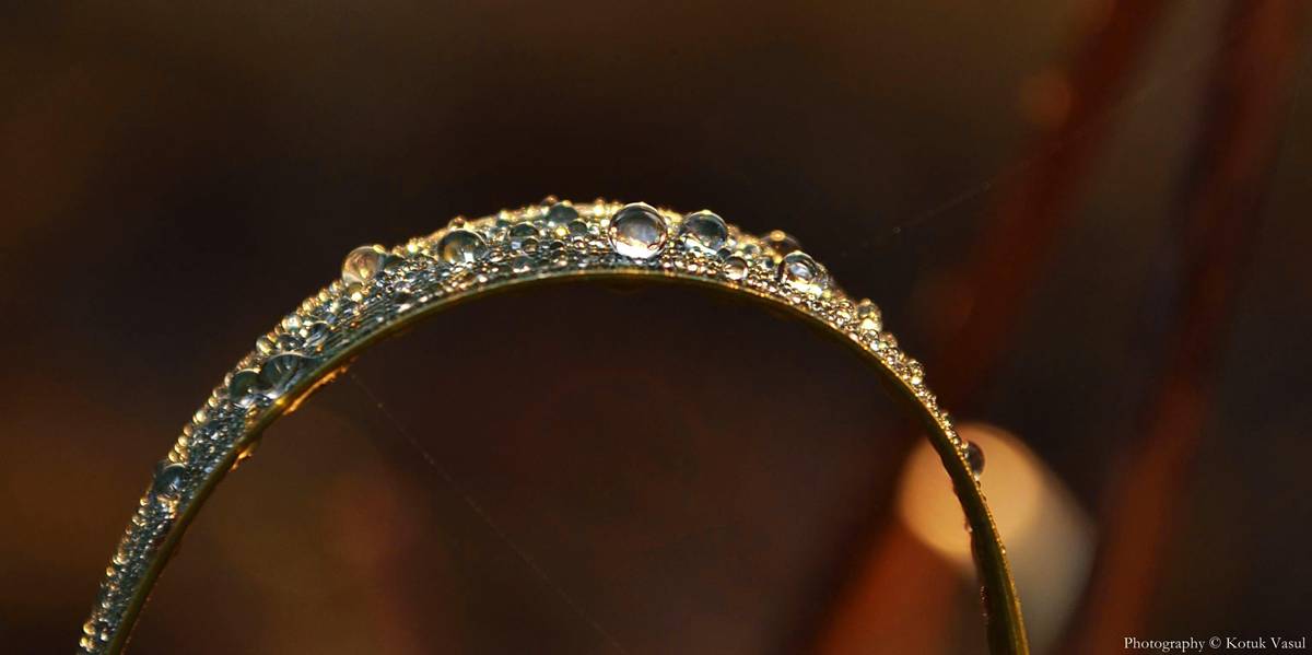 Der Morgen nach dem regen