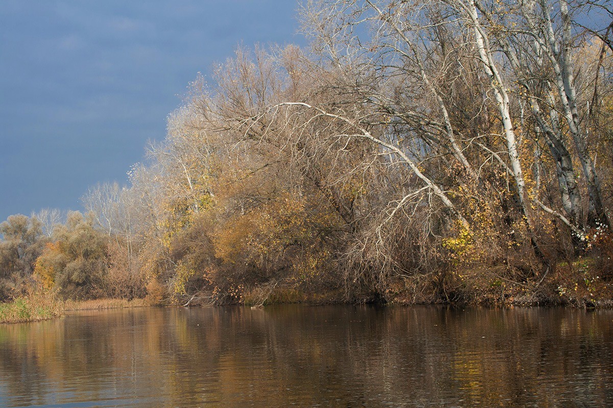 Am ersten Tag des Monats November.