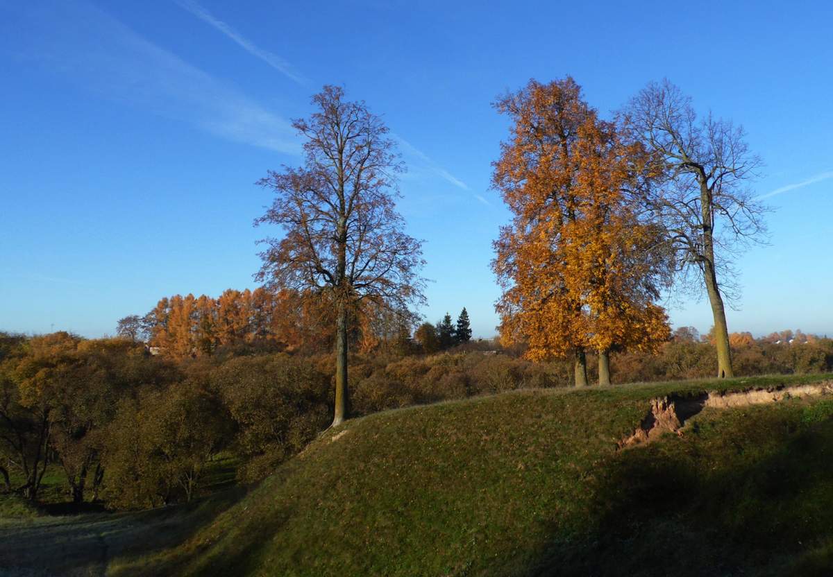 Früh am Morgen ......