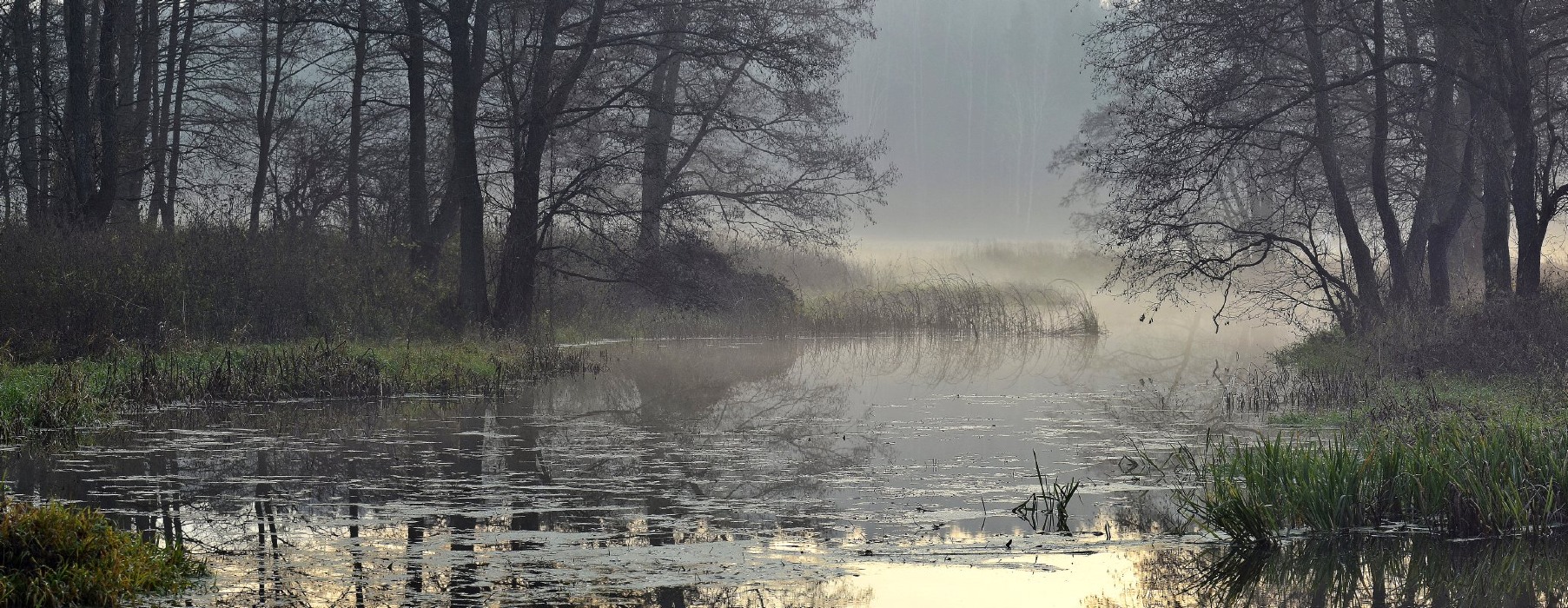 November in Usa River