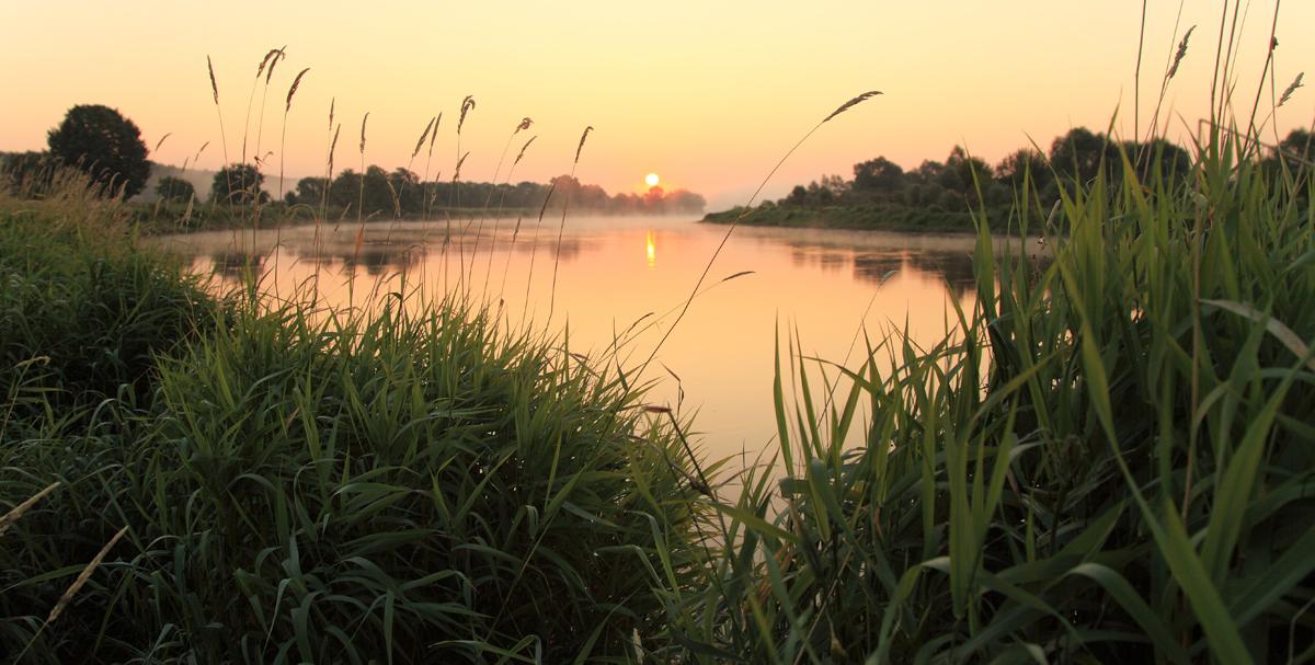 Für das hohe Gras ...