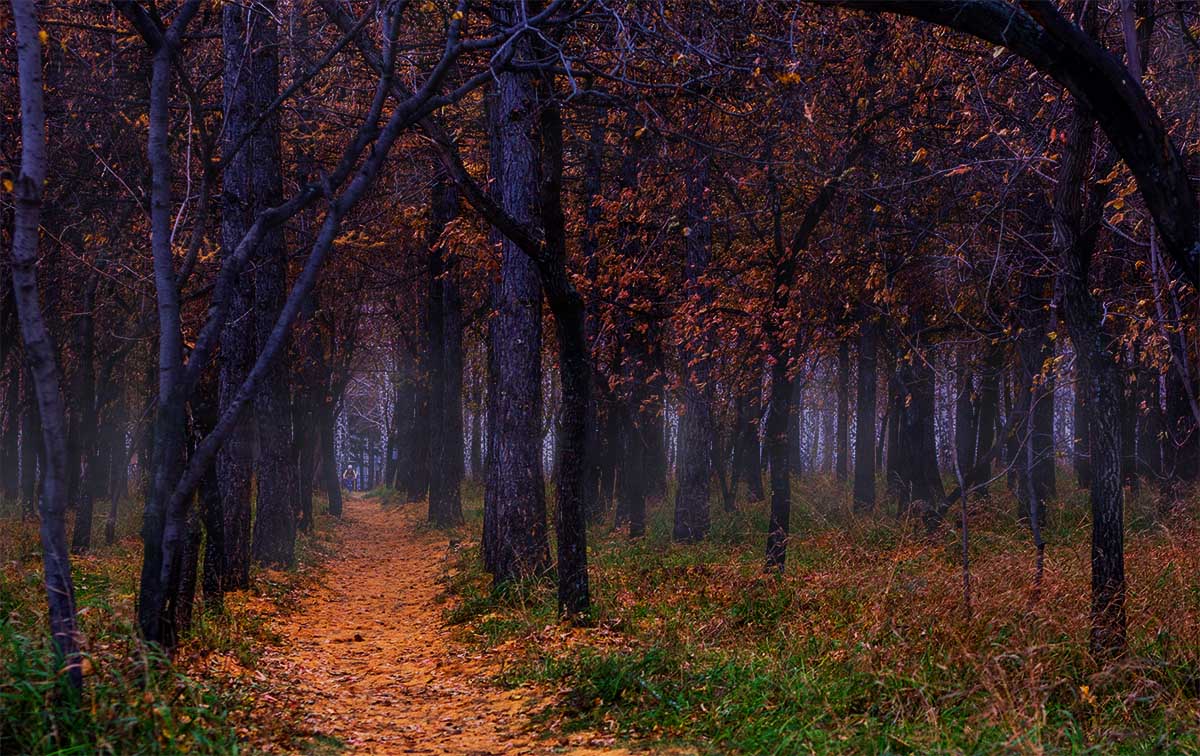 Dort auf unbekannte Wege ...