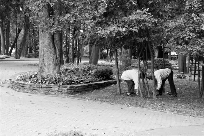 визуальноантропогеннофилософский pizazh nicht flach, Gomel, Park 2013