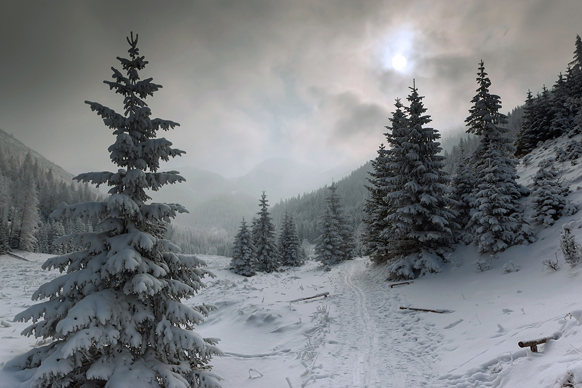 Im vergangenen Jahr Schnee.