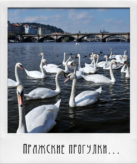 Prag walking # 22