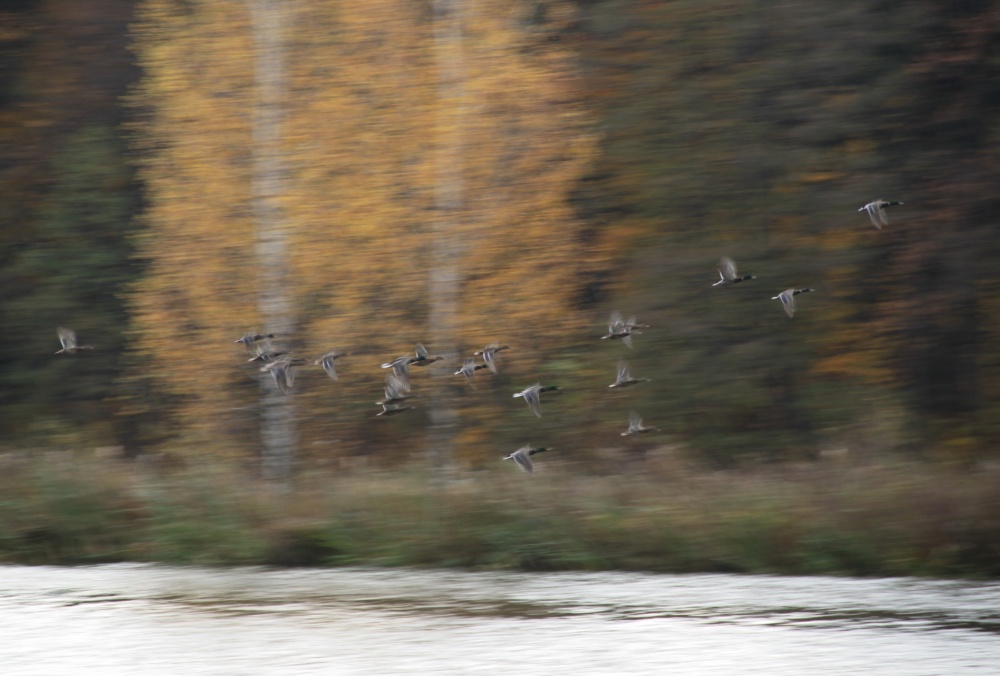 Zeit in den Süden ..