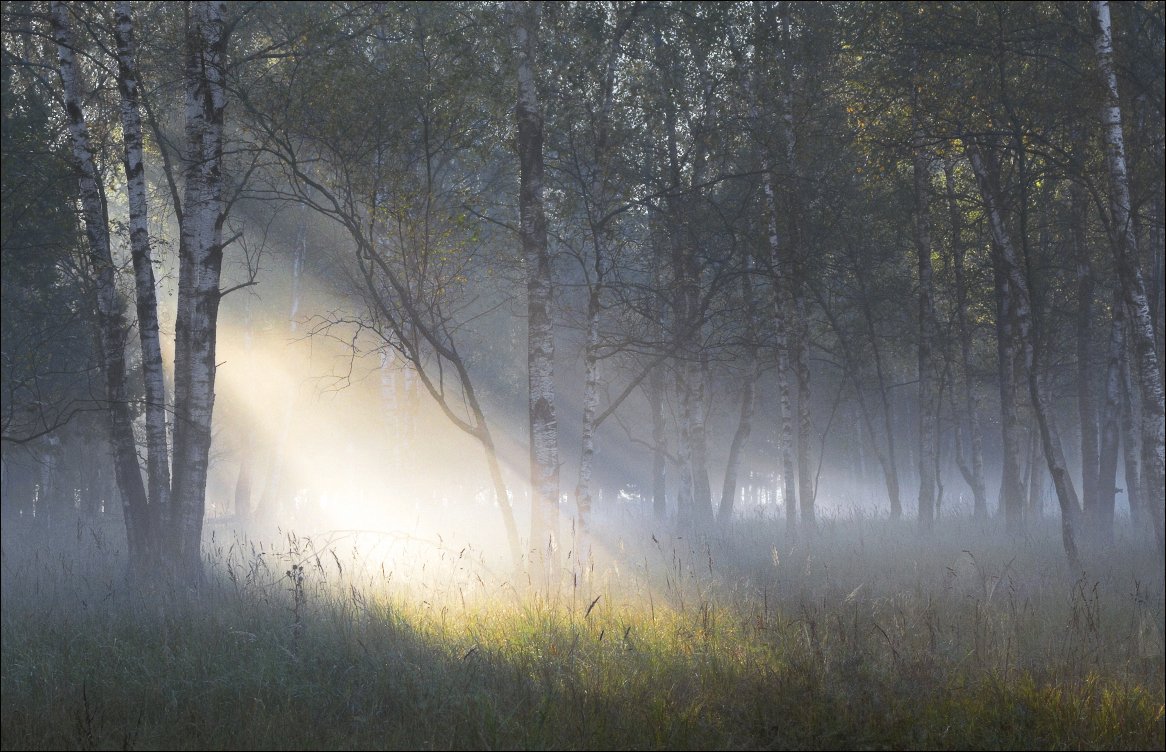 Von der offenen Tür.